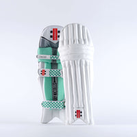 Technique Cricket Bat