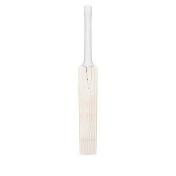 Bat Builder Sample