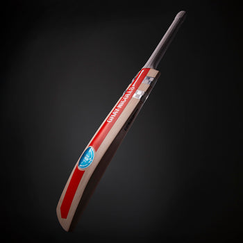 2600 CABD19 1603508 Bat GN Powerspot Short Handle,, Hero 2