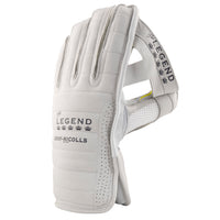 2600 CWAA19 5708205 Wicket Keeping Glove Legend Back