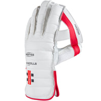 2600 CWAD19 5708505 Wicket Keeping Glove Prestige Back