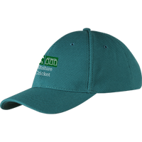 cchc13002hat cricket cap green.png