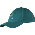 cchc13004hat cricket cap green.png