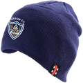 ccie15001headwear beanie hat navy.png