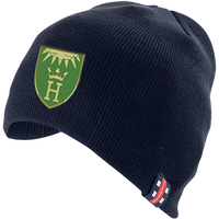 ccie15001headwear beanie hat navy.png