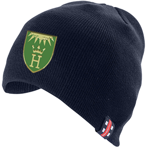 ccie15001headwear beanie hat navy.png