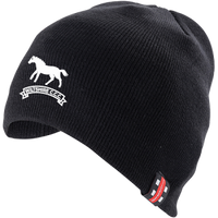 ccie15003headwear beanie hat black.png